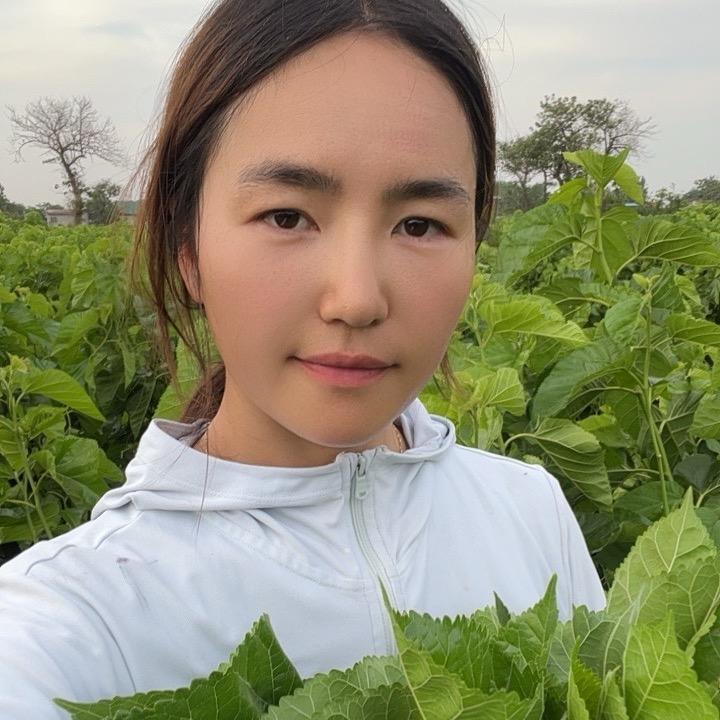 汝州市顺心手工蚕丝被