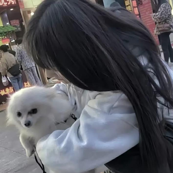 懵逼