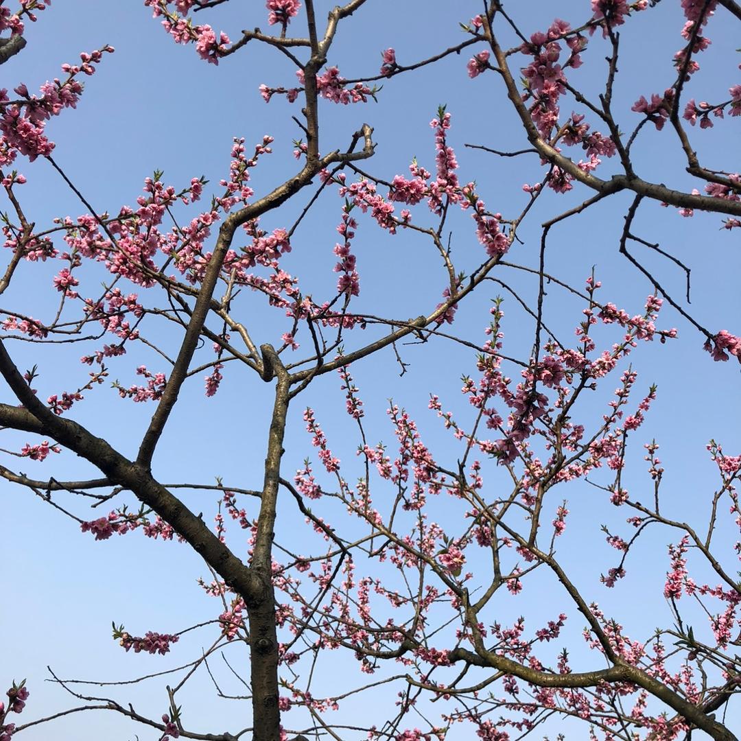 如鱼饮水