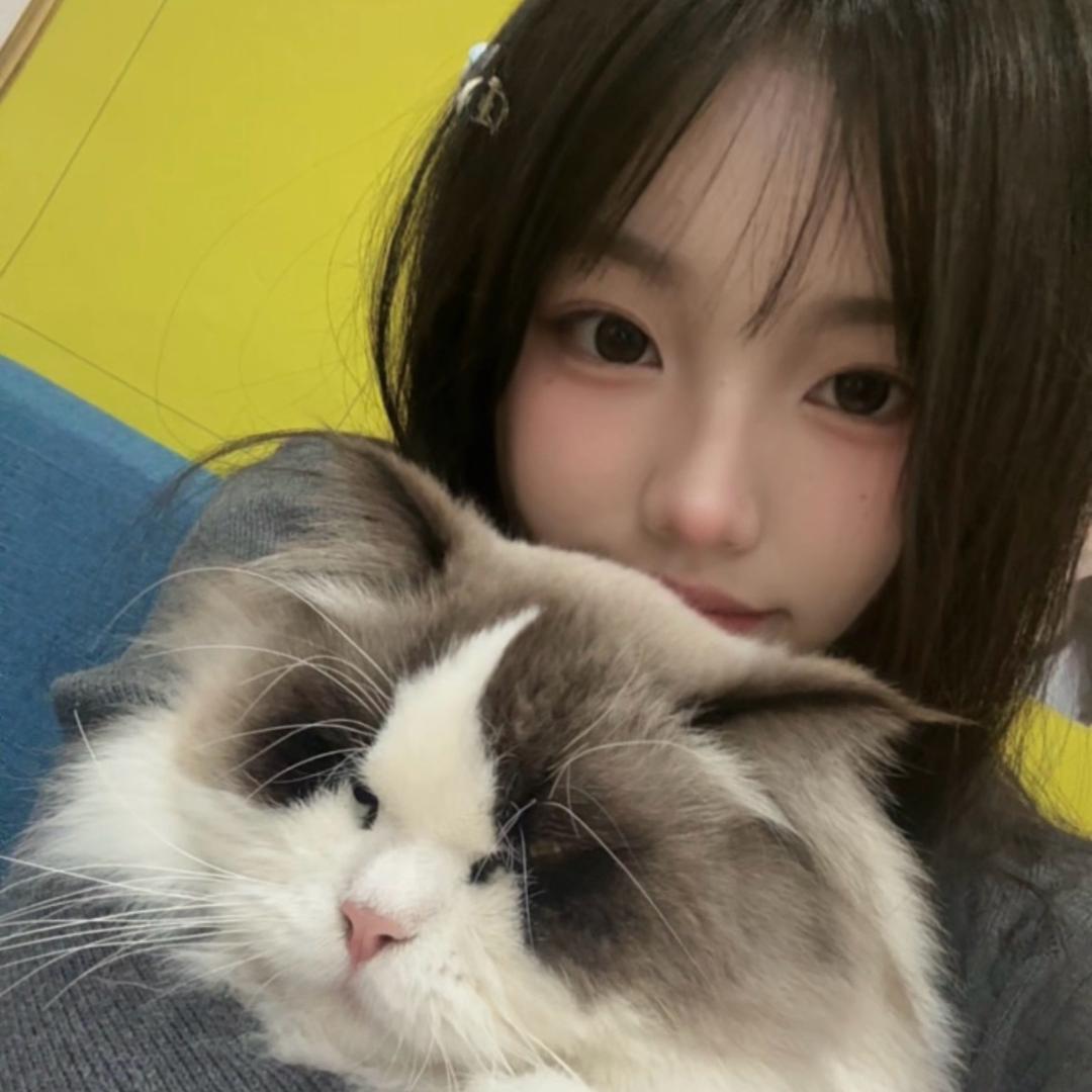 小y