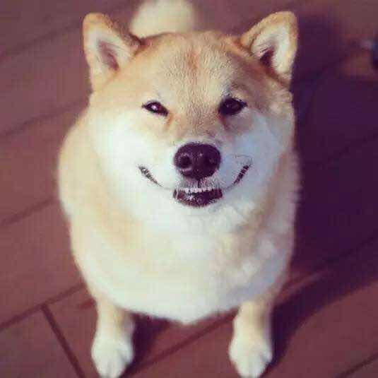 一个网友