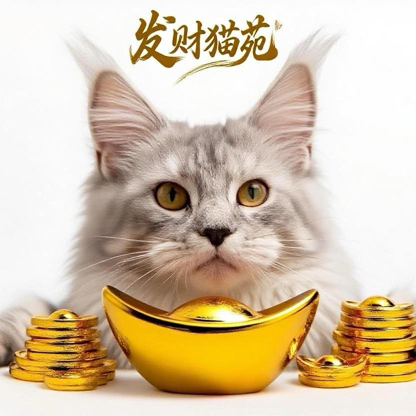 发财猫苑『TiTi』
