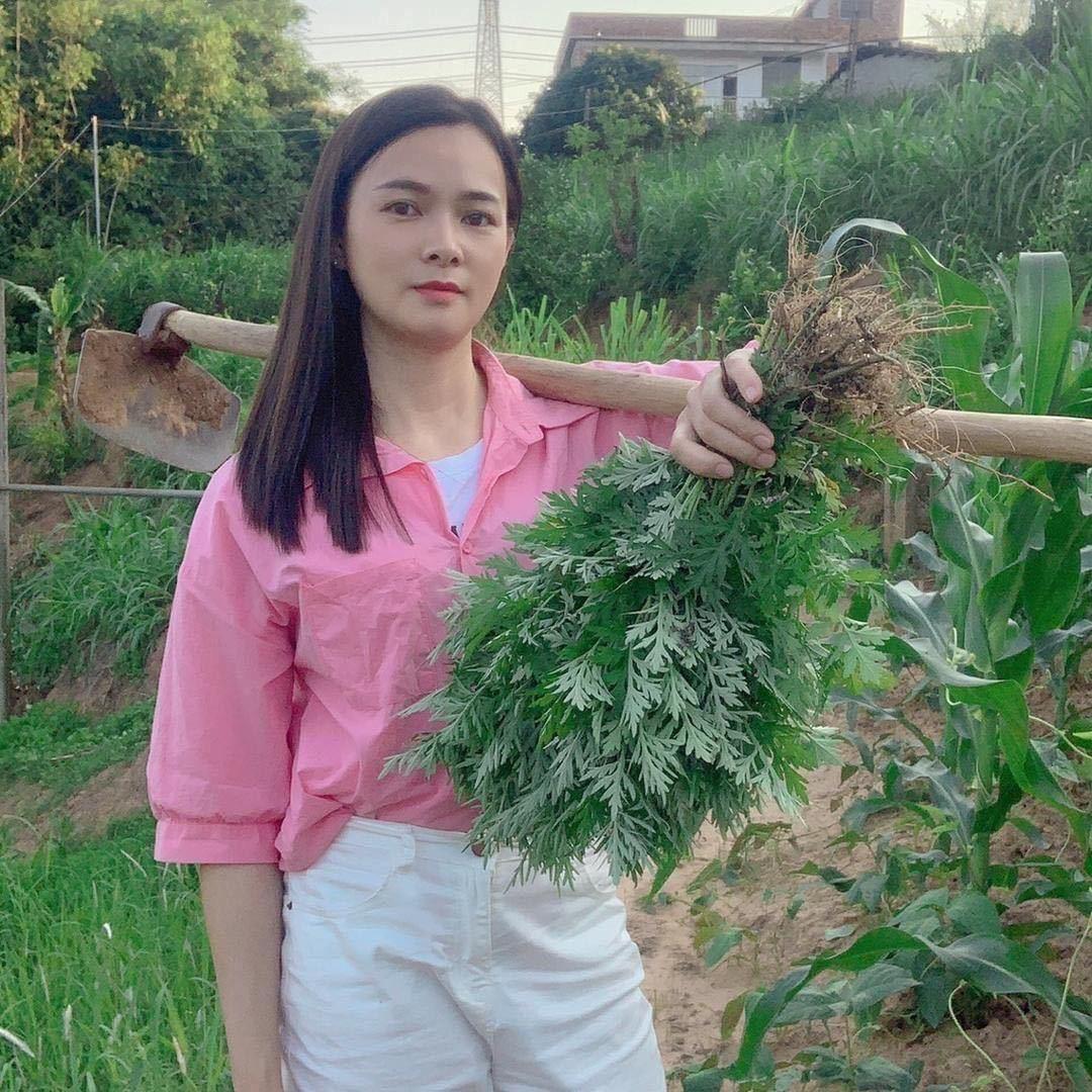 鸳鸯金楼一刘下来