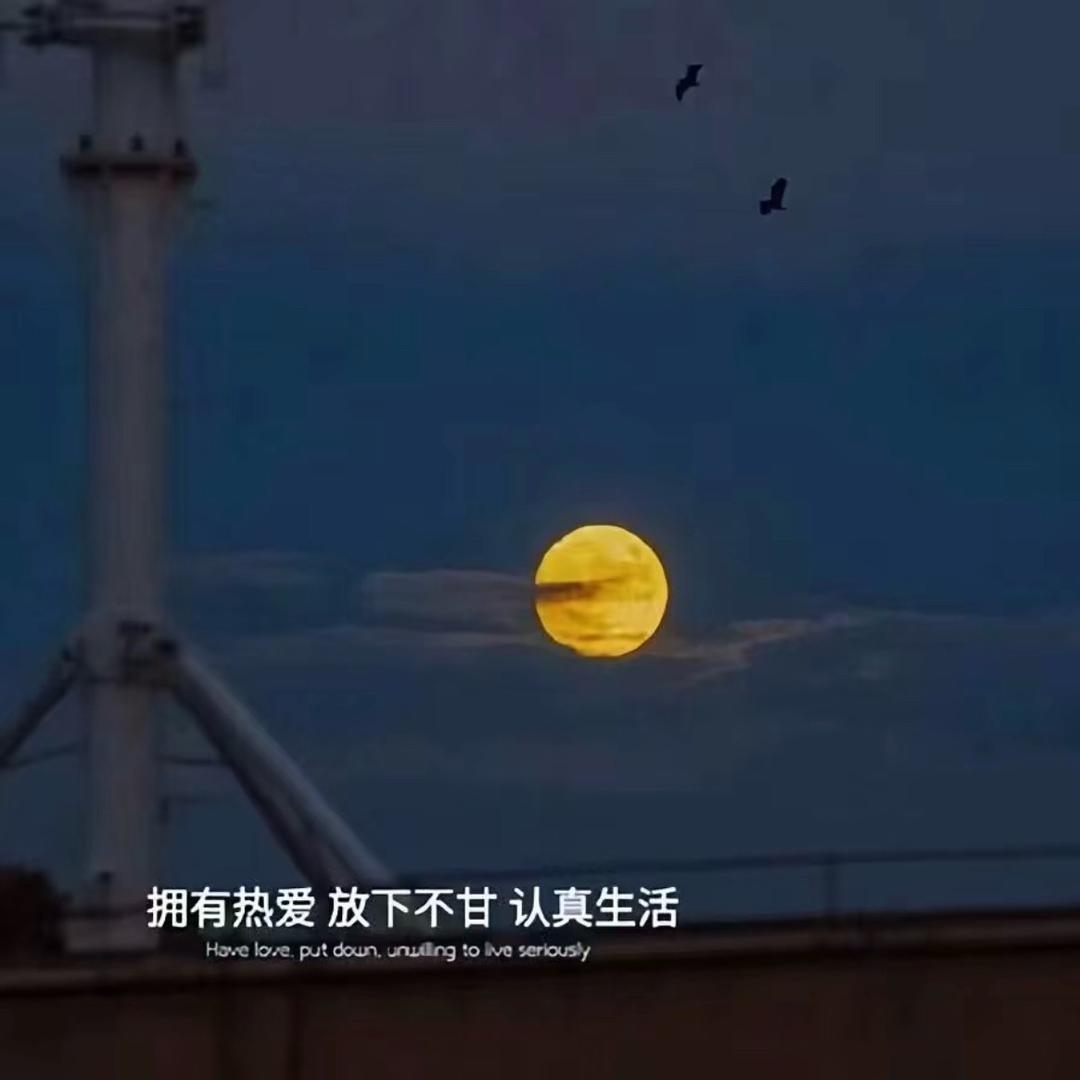 帅旬苗木优品