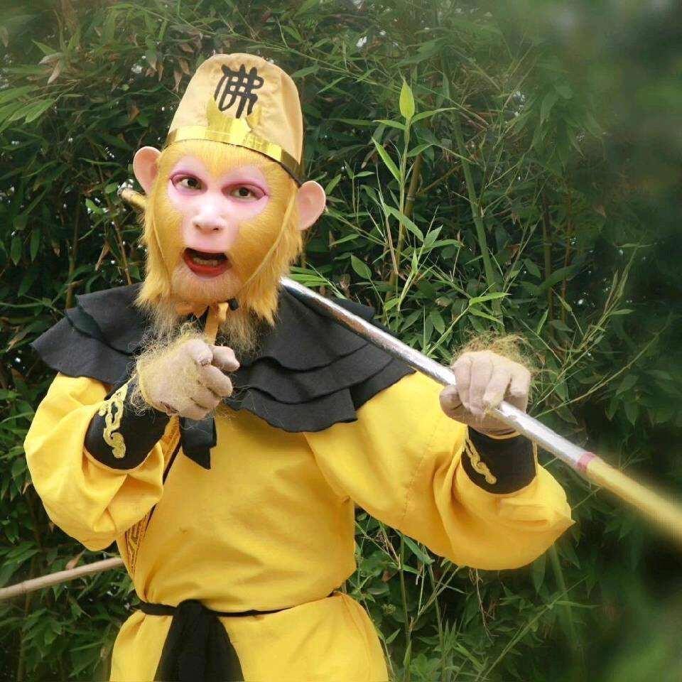 金星猴哥 （板面猴）