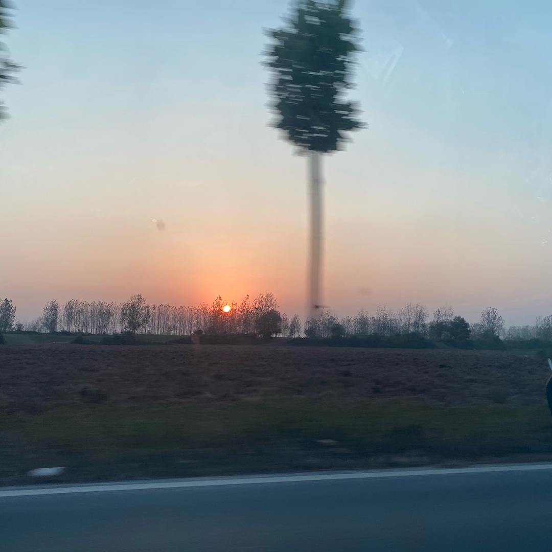喝呜昂黄