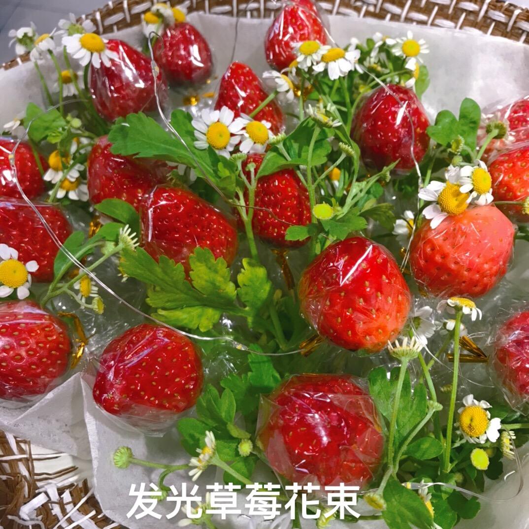 萍萍