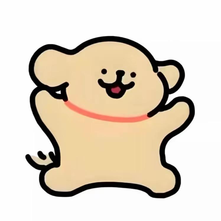 偶遇一只猫、