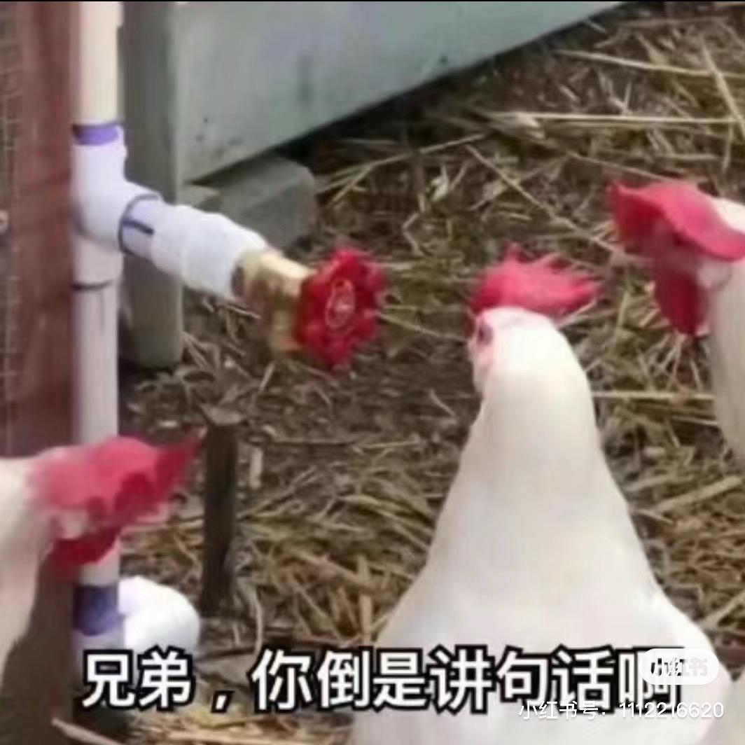 走XXXXXXXX