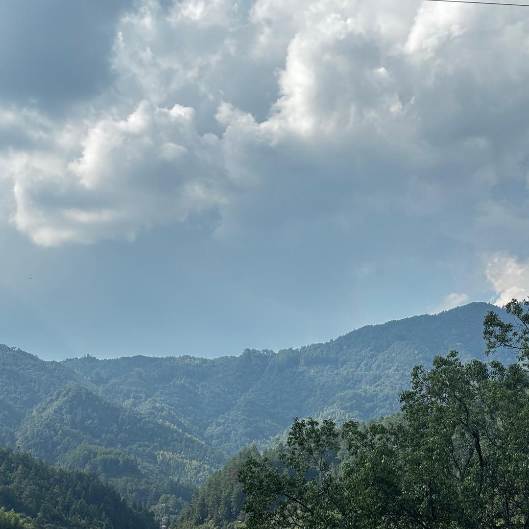 魏大观来财（升级版）