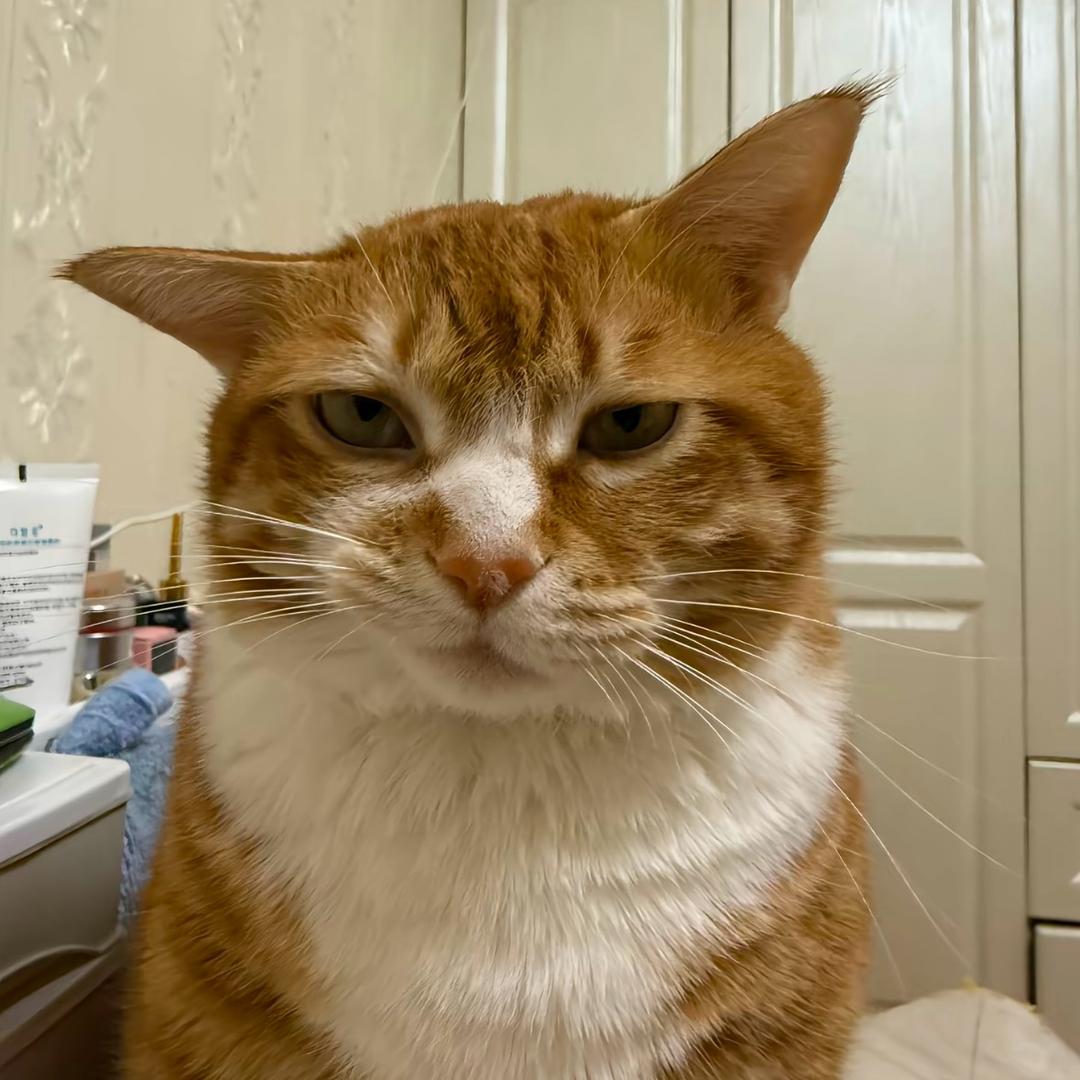 只是只是的只是