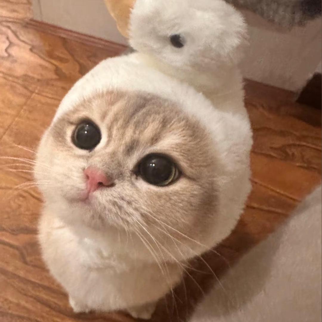 鸡腿棒棒骨
