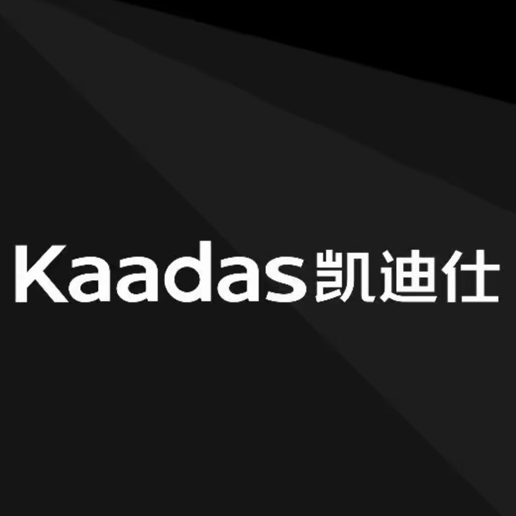 玉溪.凯迪仕-智能锁