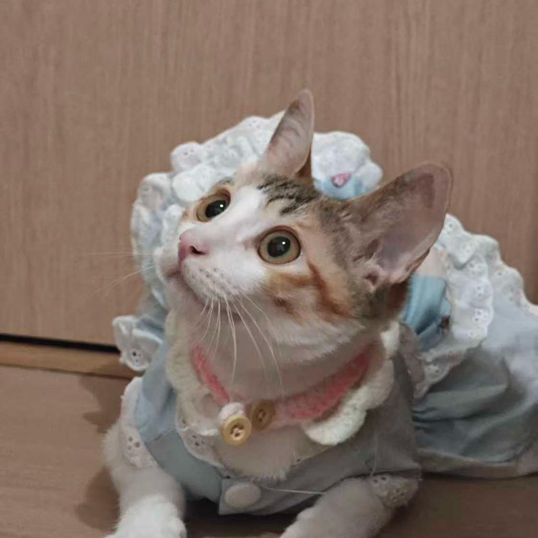 粟子