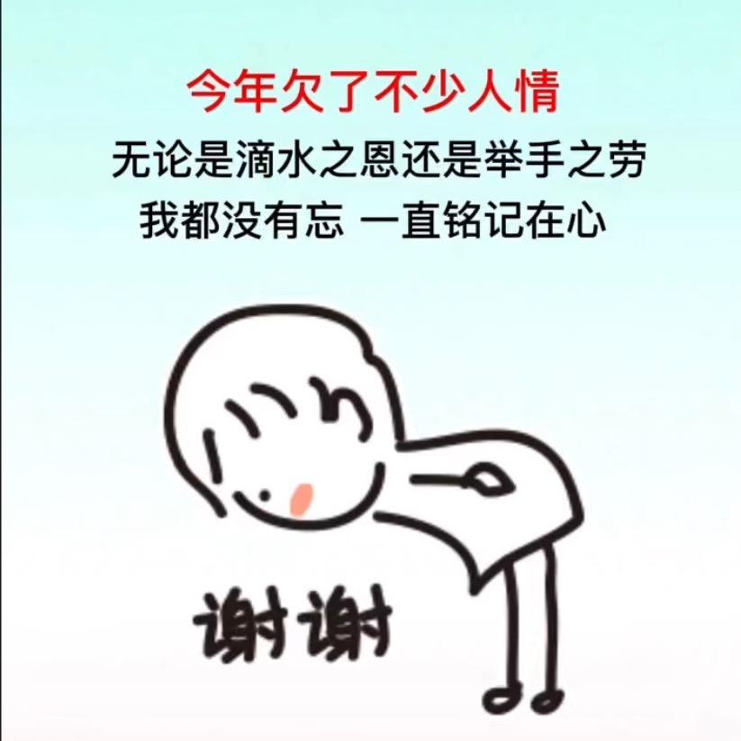 七猪