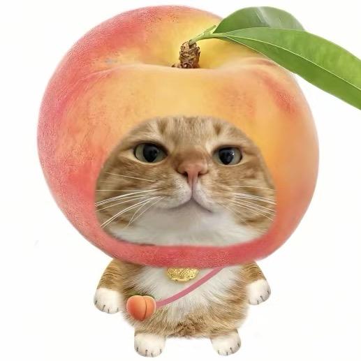 桃桃🍑（原神玳肝）