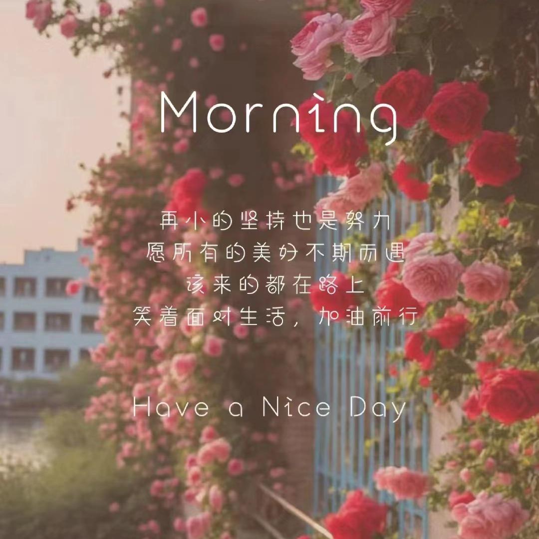 艳子爱养生