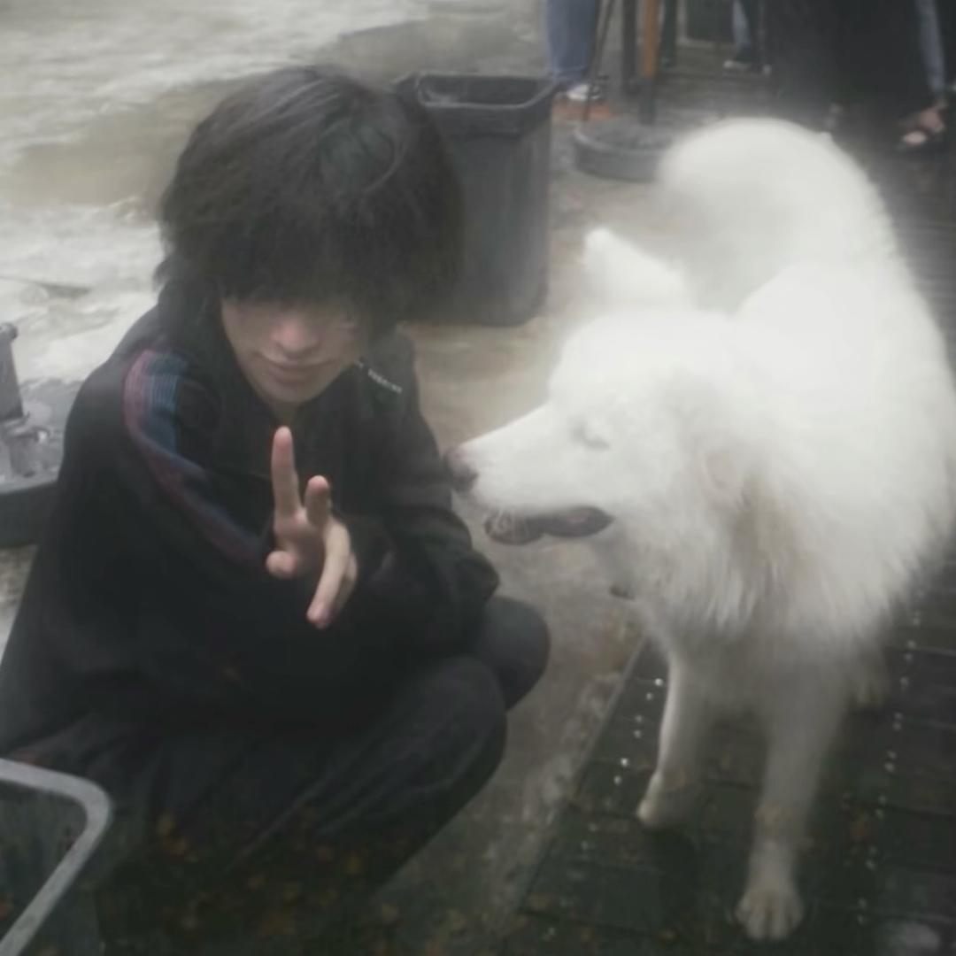 ใบเล็ก泰