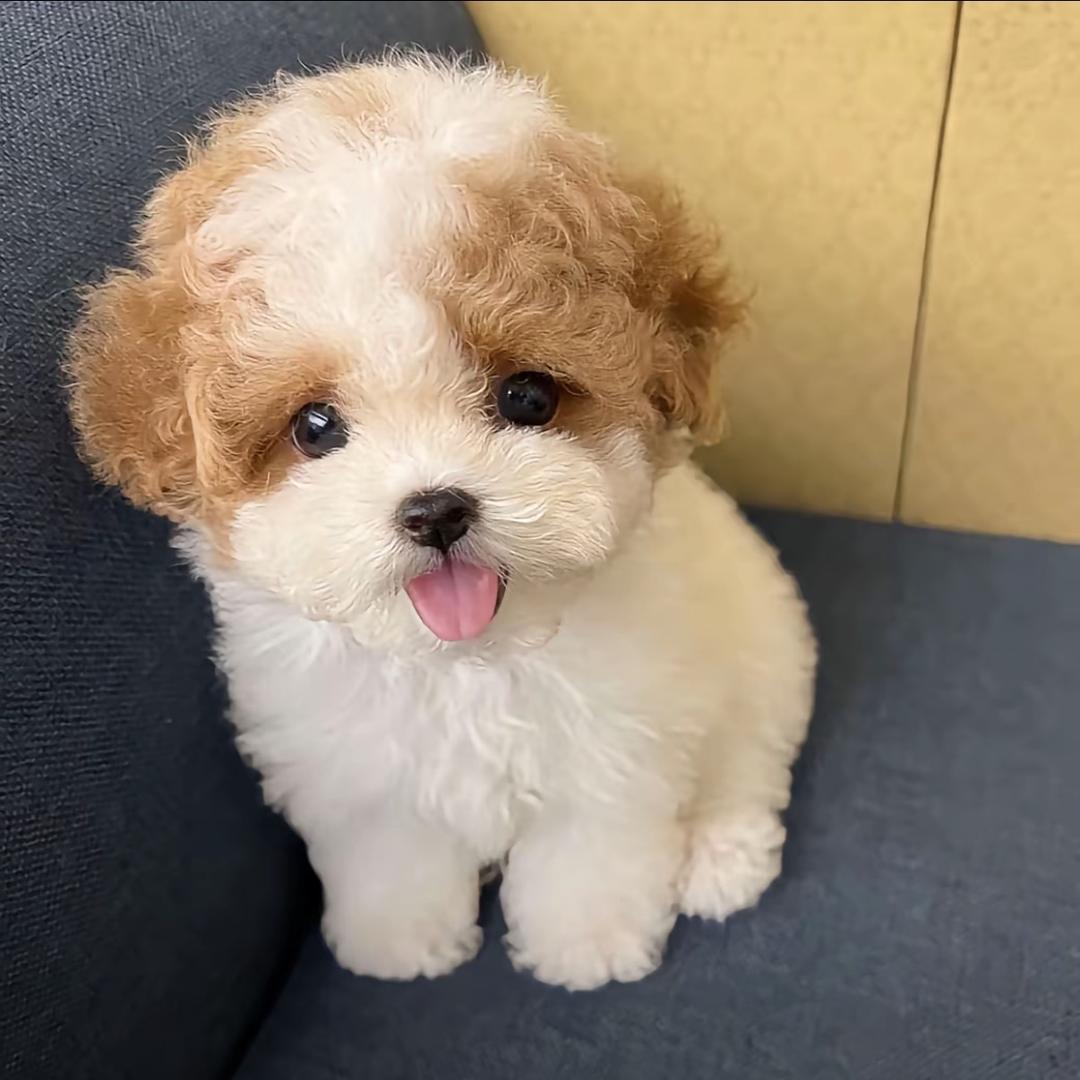 我没惹你吧