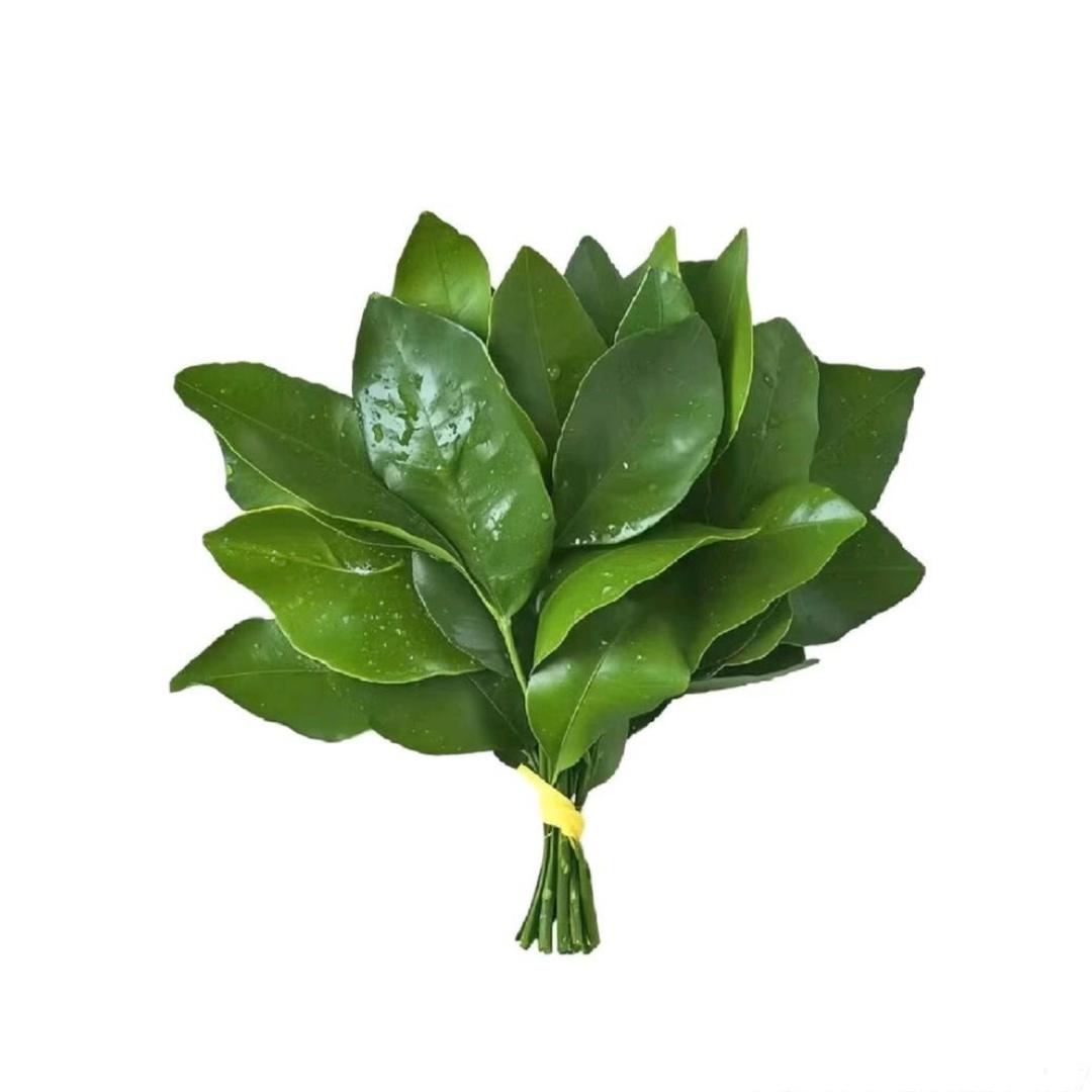小娃米你最棒