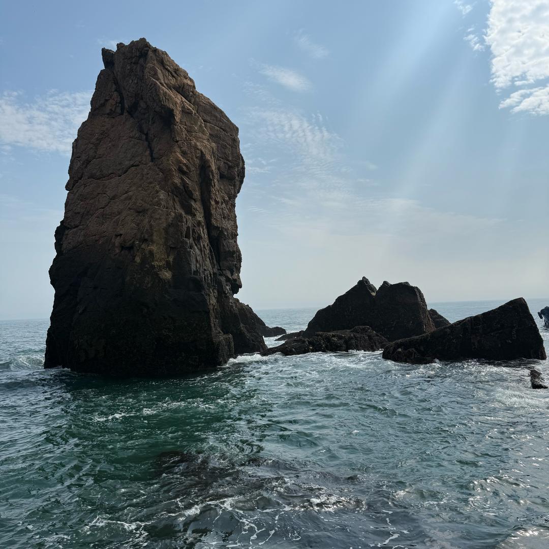 🐯鲷鱼杀手🥷吴迪🐯