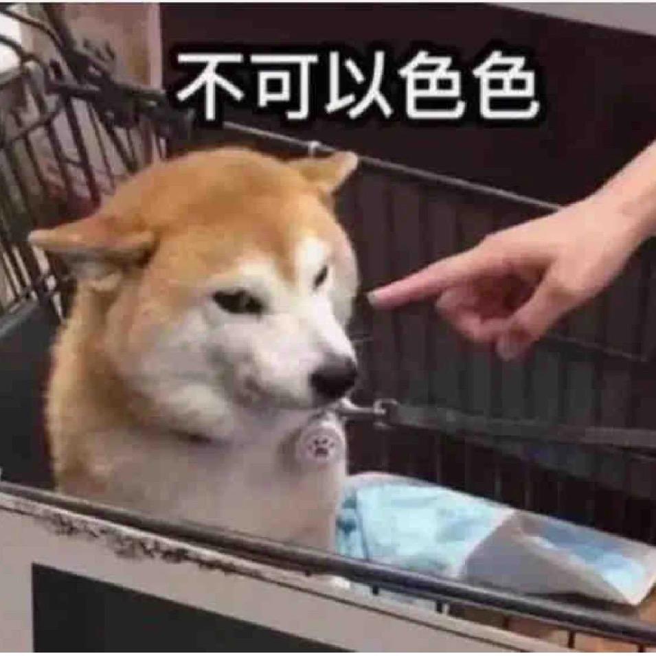 点女士，