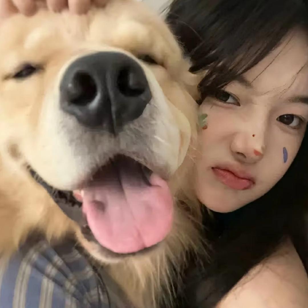 李肥肥鸭