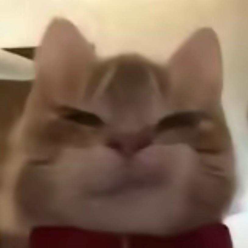 洗最大的碗.