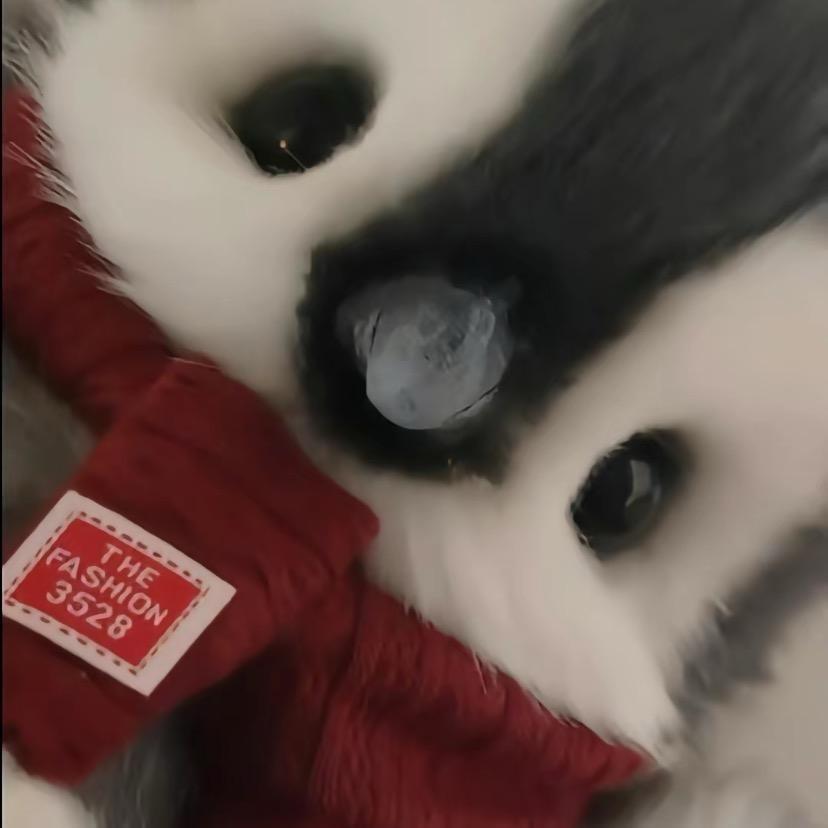 不要哭