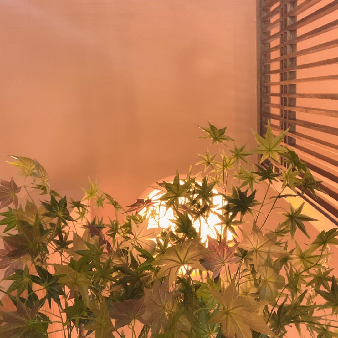 吴巧恋 婚姻介绍 青娘