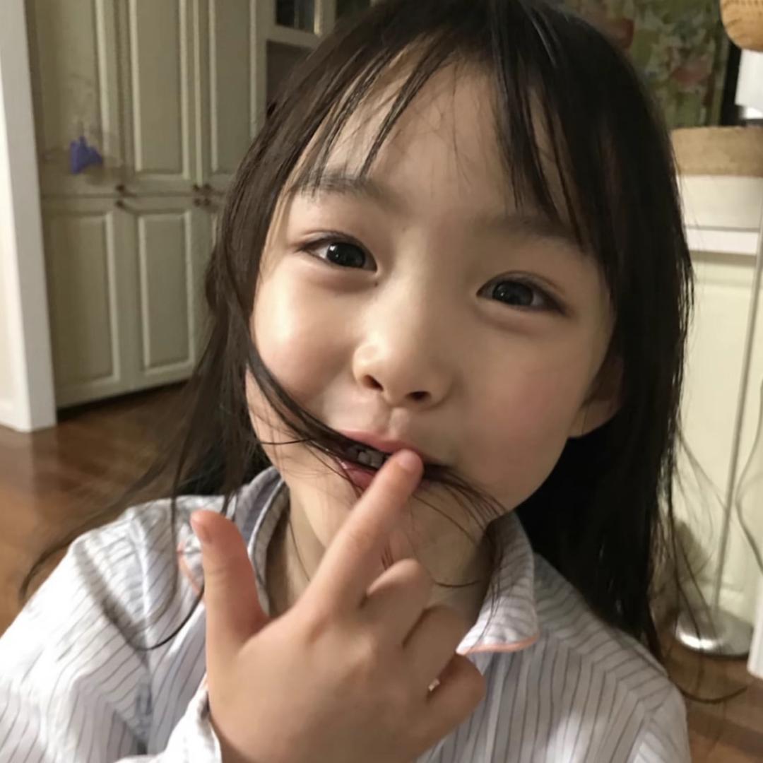 解树