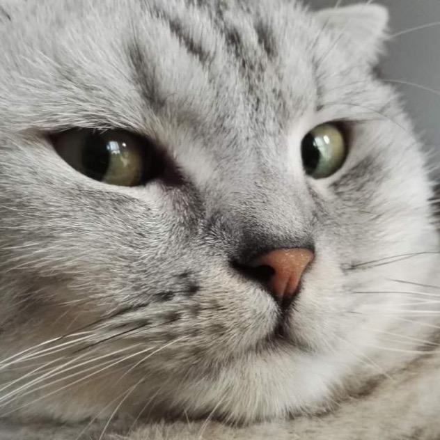 麤鱻龘劦叒歮雥譶馫贔靐飍壵掱