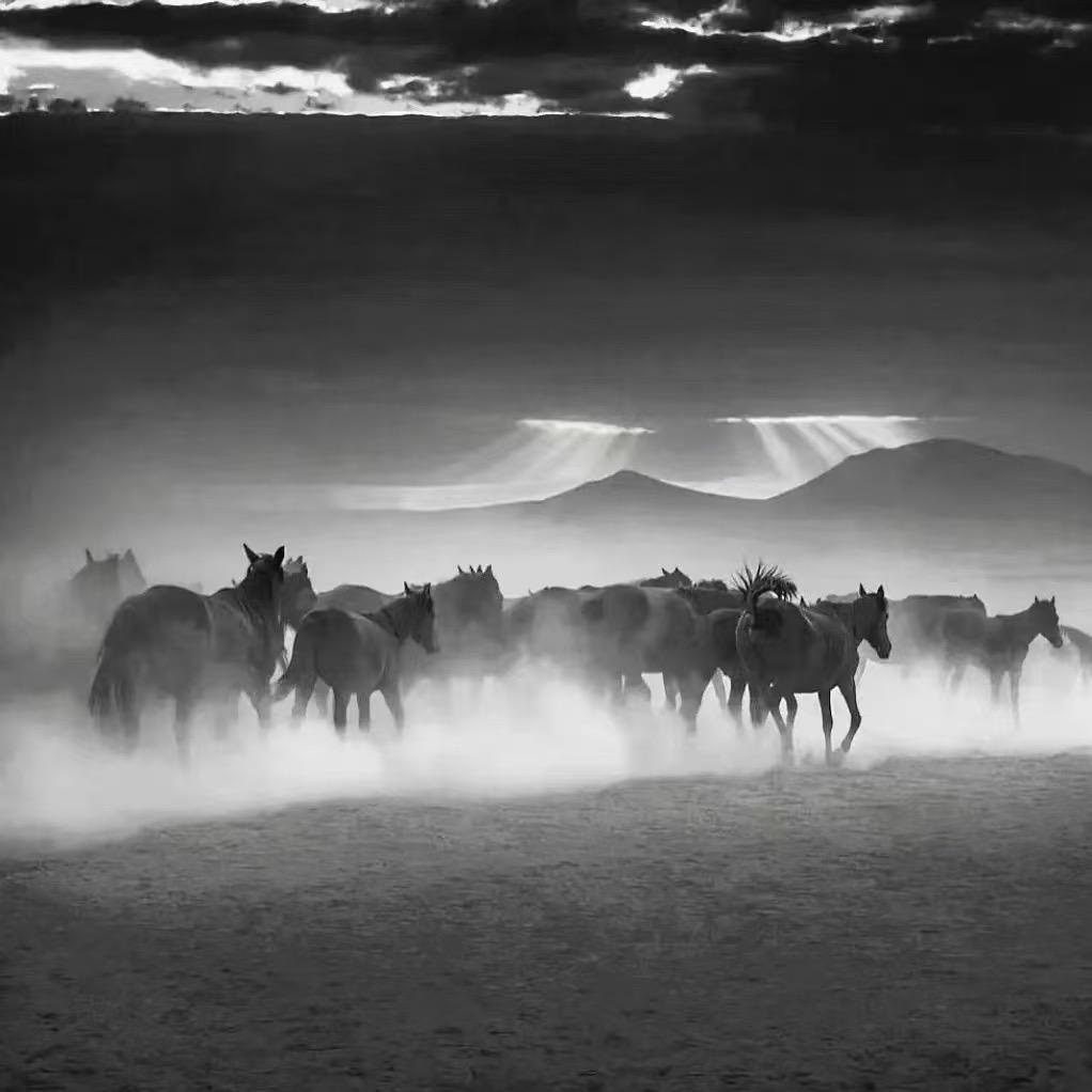 小马过河精品二手车