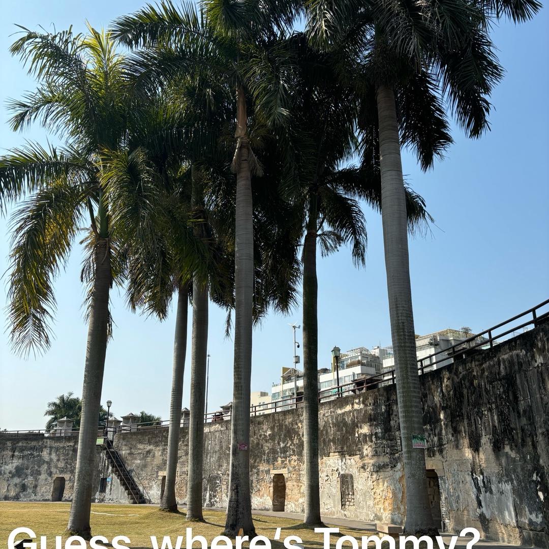 Joyce ❤️🐷宝宝