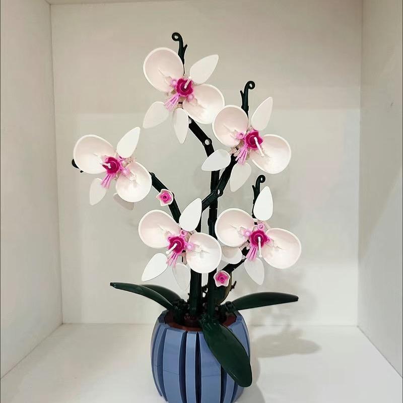 爱吃肉的小胖子*¥@