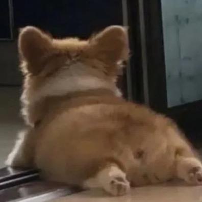陈天生