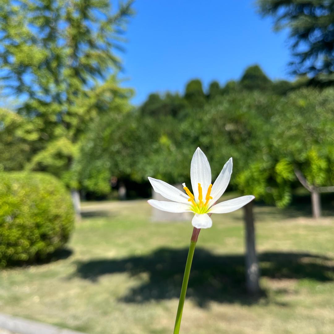 😘小脾气
