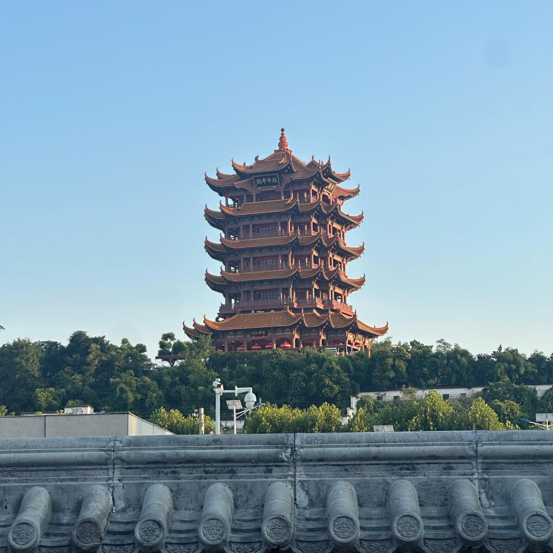 锦鲤