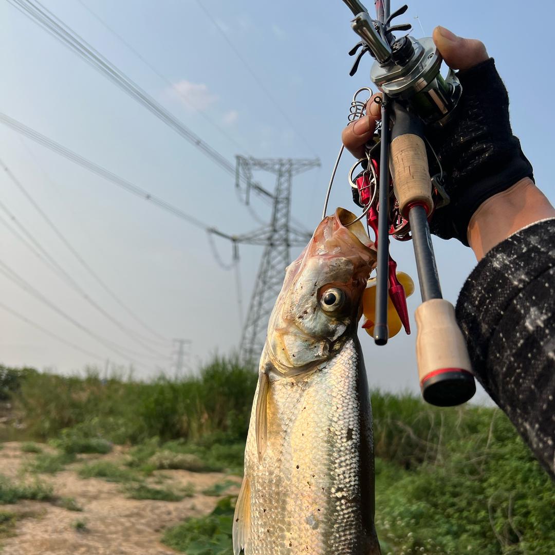 杜歌！🎣