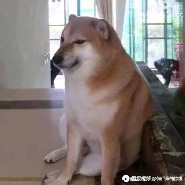 小伙伴