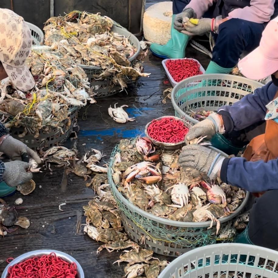 壮丁海鲜，众包版