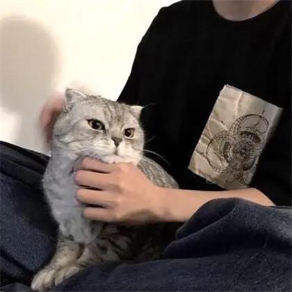 江辞