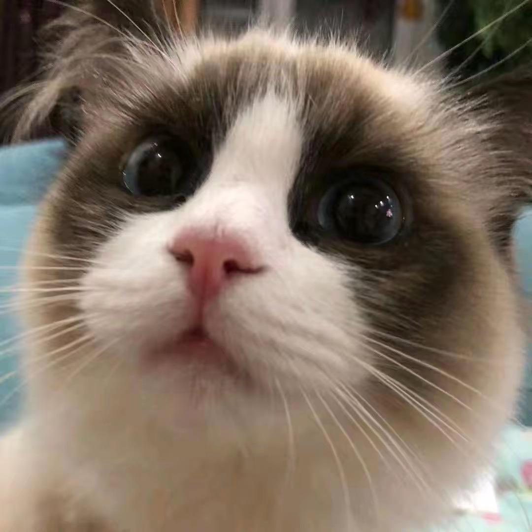 咕噜咕噜醒醒_