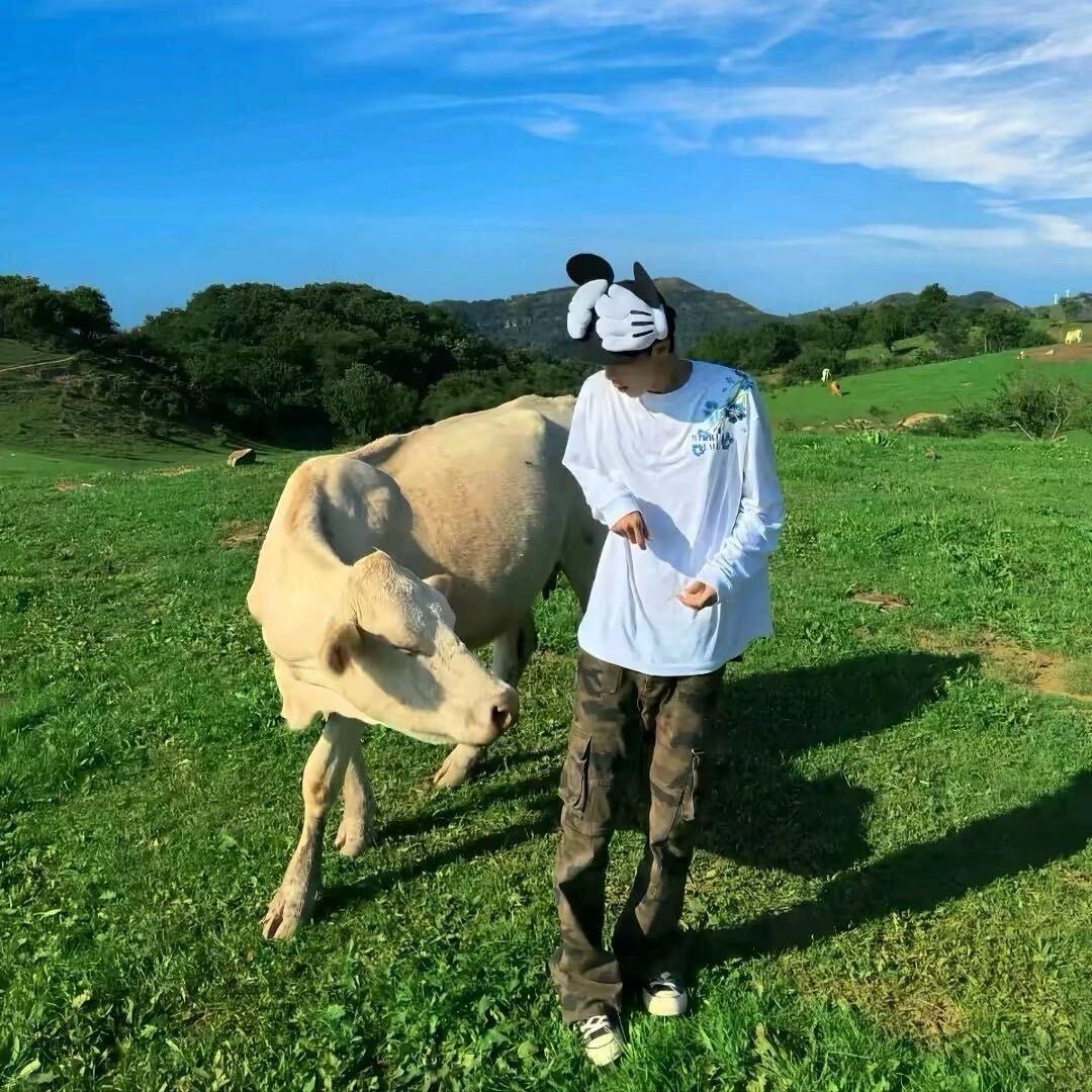 没钱没时间