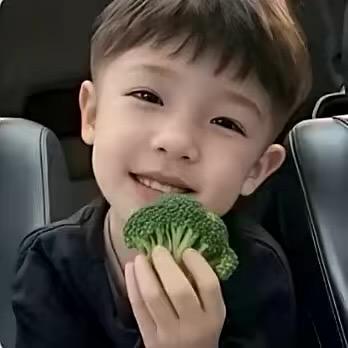 徐什么豪
