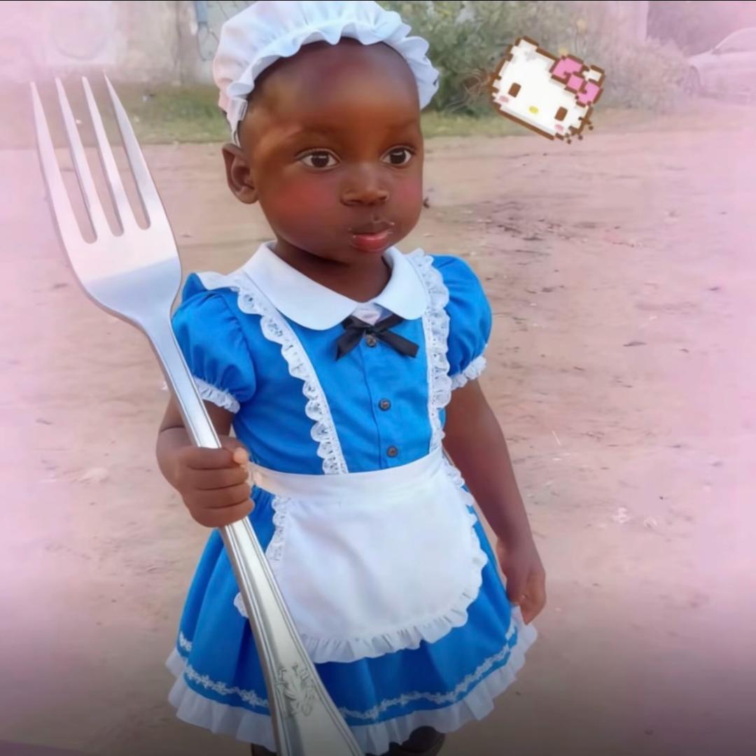 可爱的tomato（预瘦10斤版