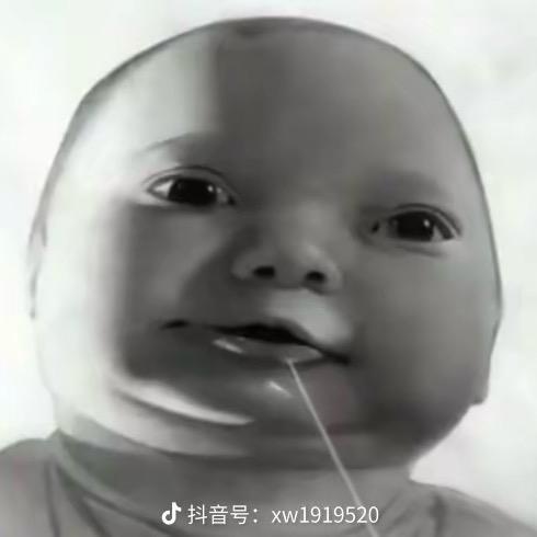 深夜独狼（牢兵卢本伟）