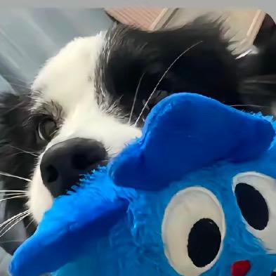 被甩一万零一次