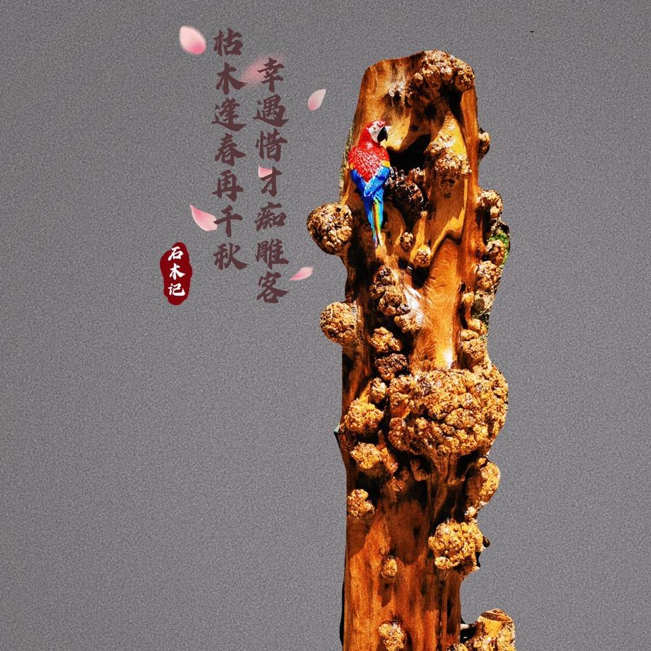 源野文化