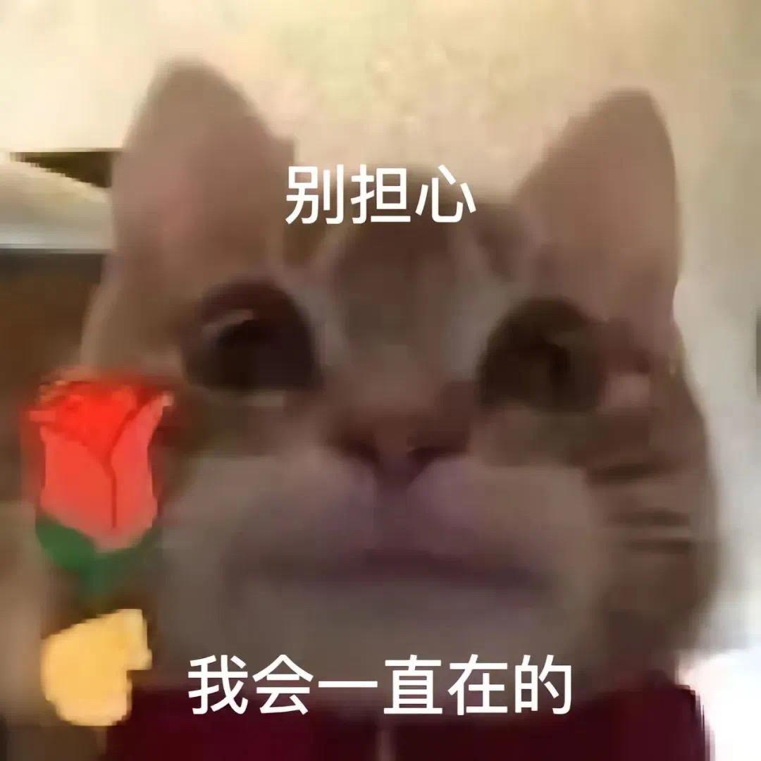 千跃传媒小王
